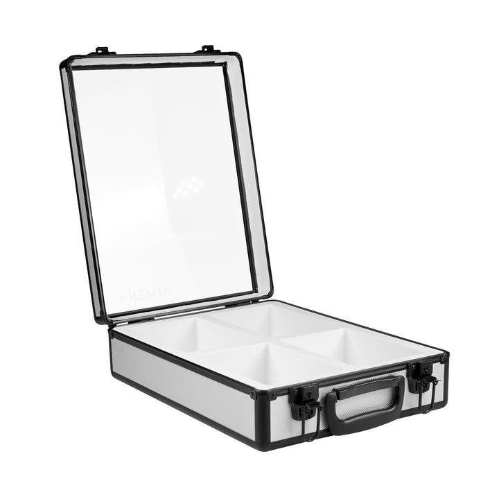 Aimen INC Lock Box (Silver)