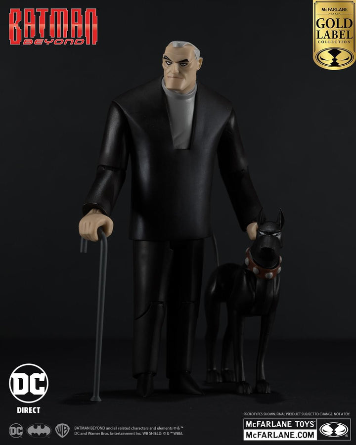 BRUCE WAYNE & ACE (BATMAN BEYOND) GOLD LABEL - SDCC EXCLUSIVE