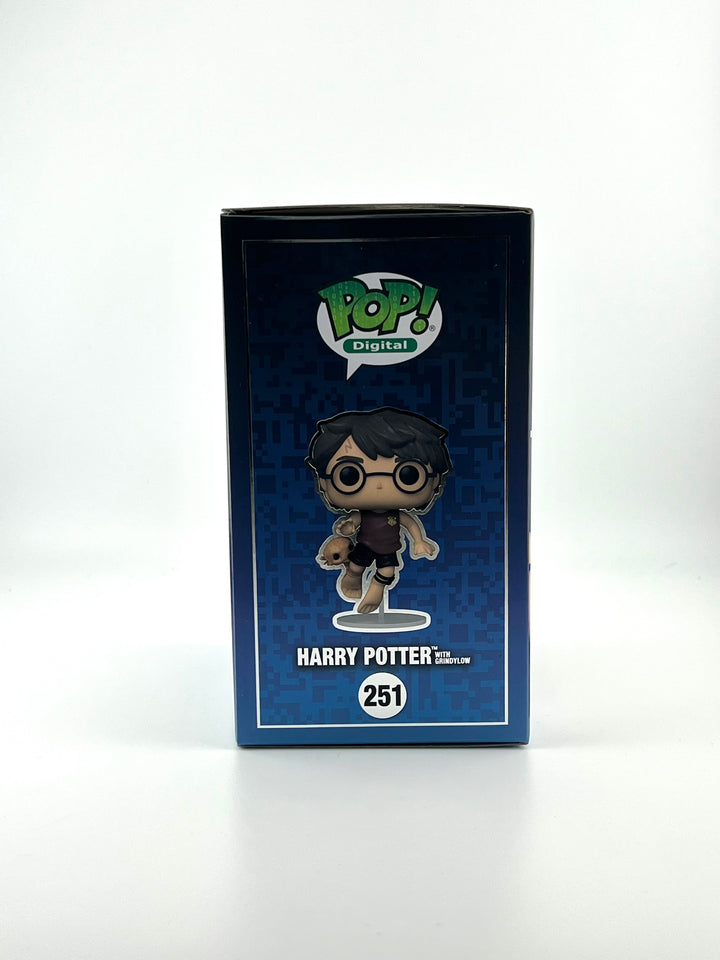 Harry Potter With Grindylow 251 Grail NFT Droppp - Funko Pop!